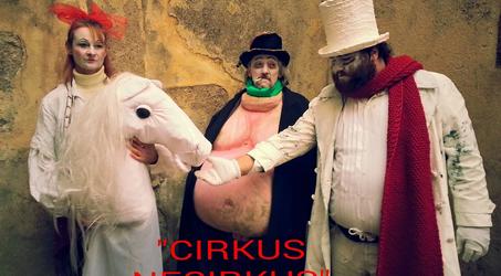 Cirkus necirkus